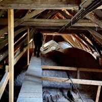 IMG_7333.jpg