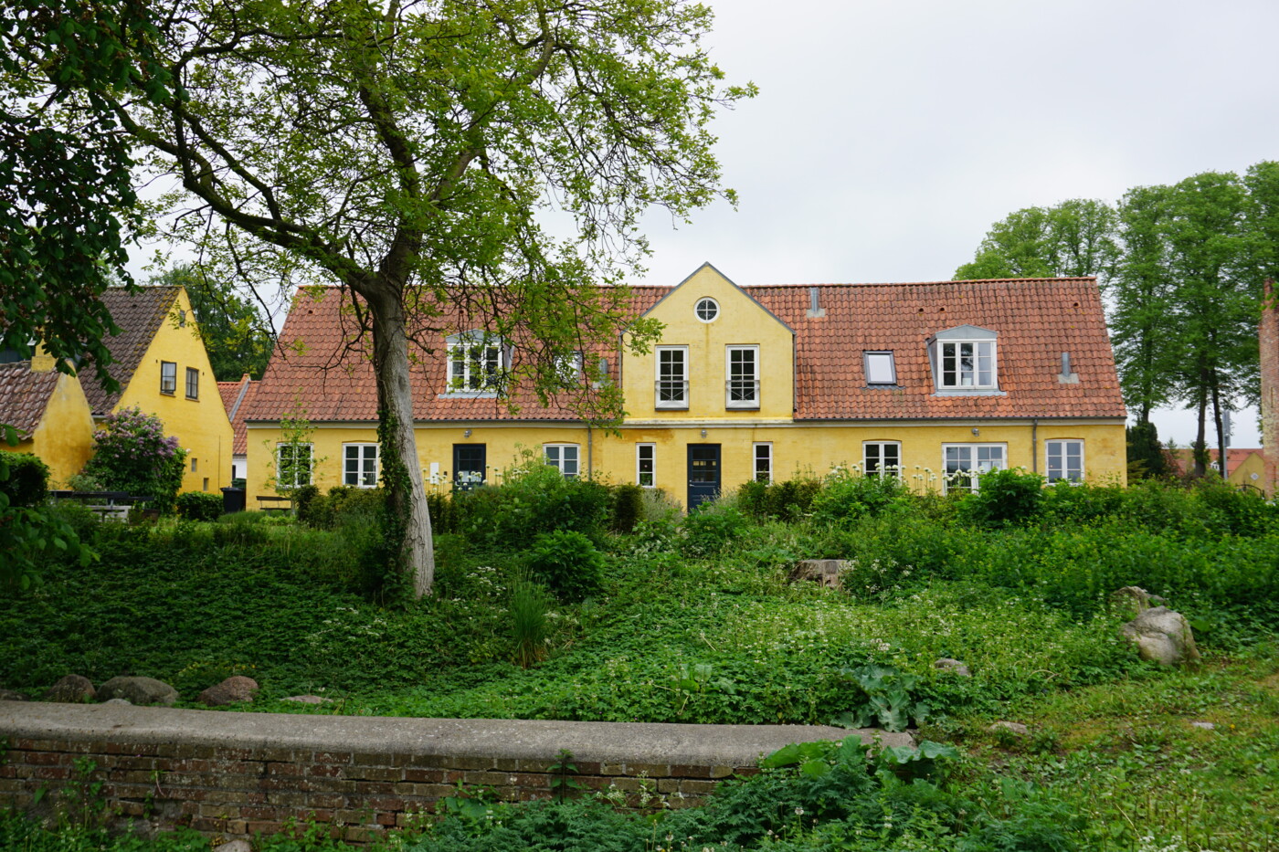 DSC00173.jpg