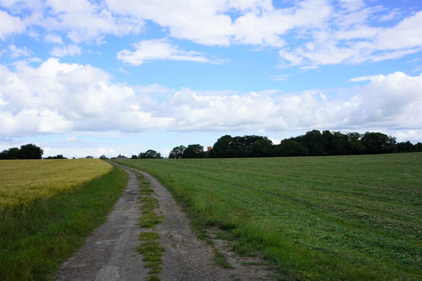 Kirkesti.jpg