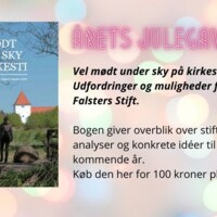 Årets julegaveidé (1).jpg