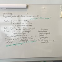 IMG_0055.jpg