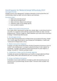 Handlingsplan for Mellemkirkeligt stiftsudvalg 240523.docx