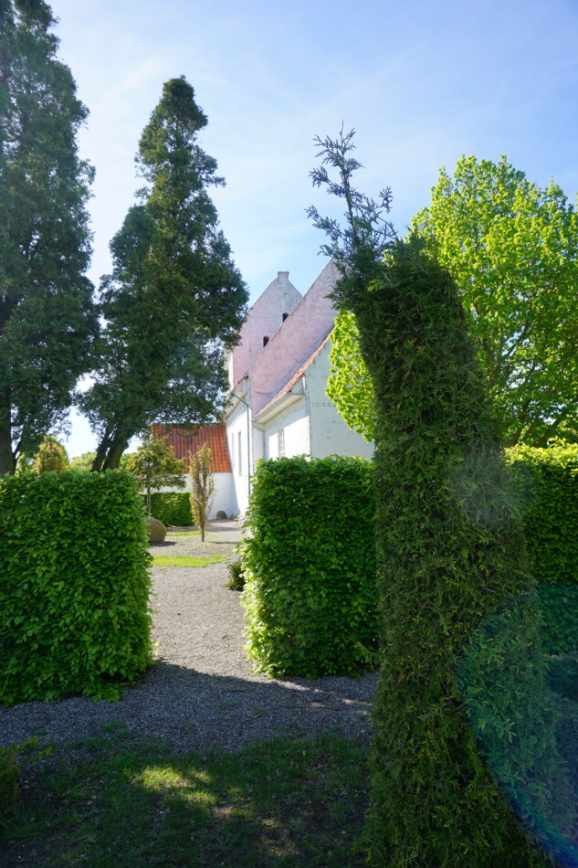 DSC01766.jpg