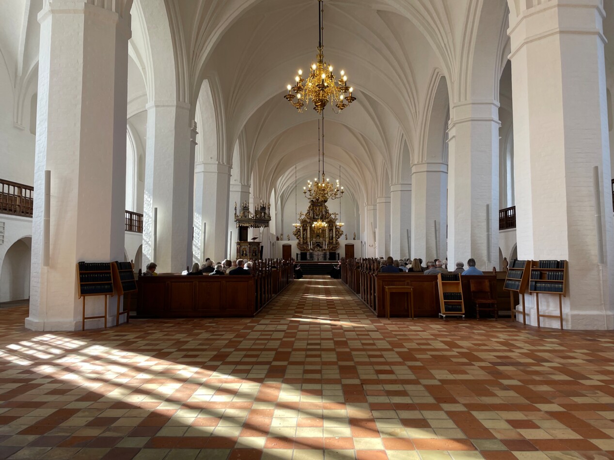 IMG_0224.jpeg