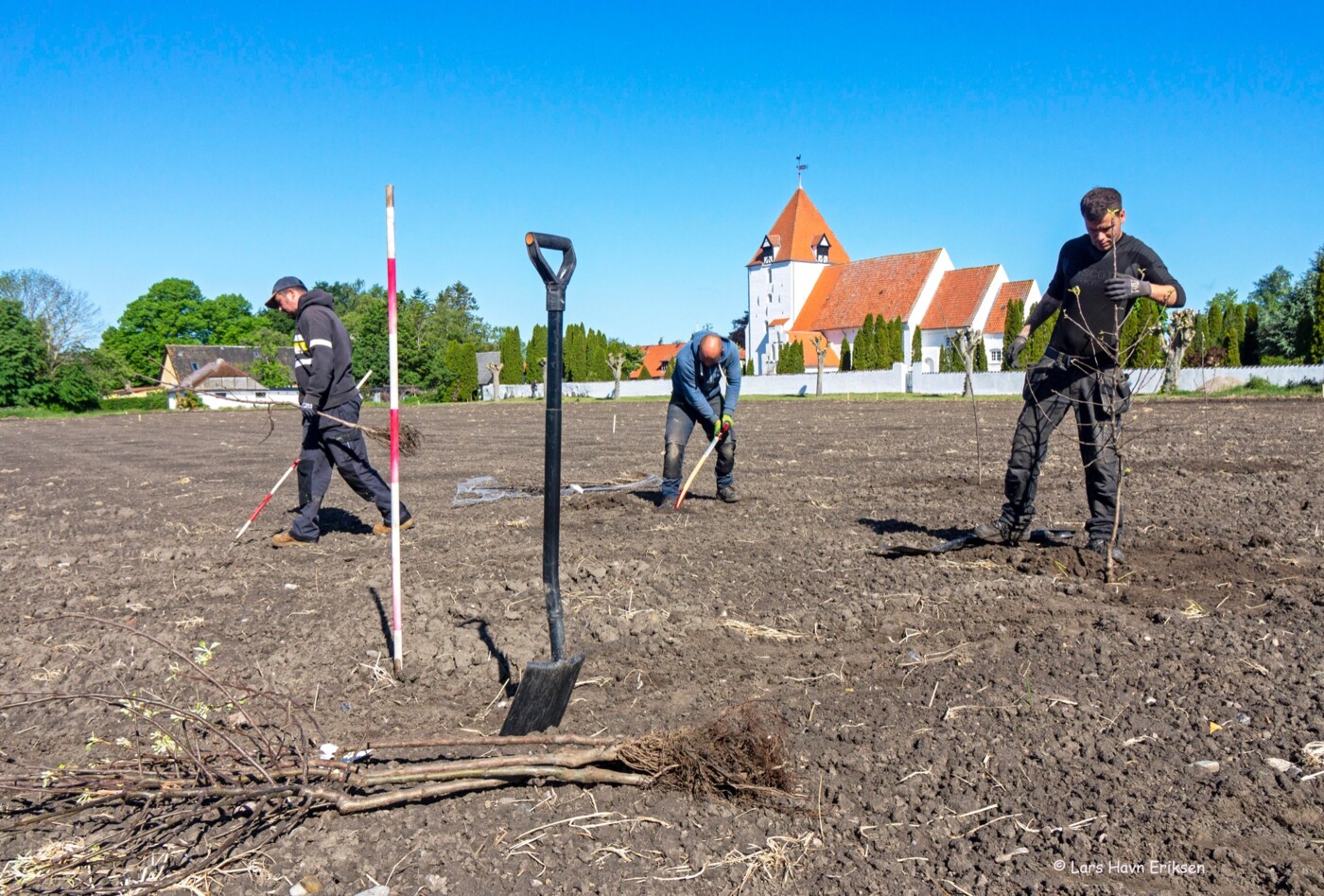 Træplantning ved Sandby Kirke1.jpg
