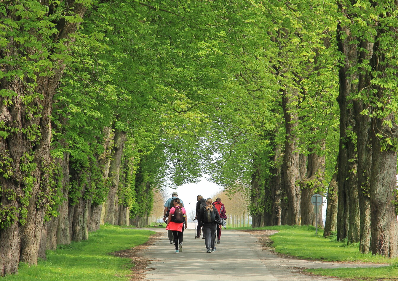 Pilgrimsvandring