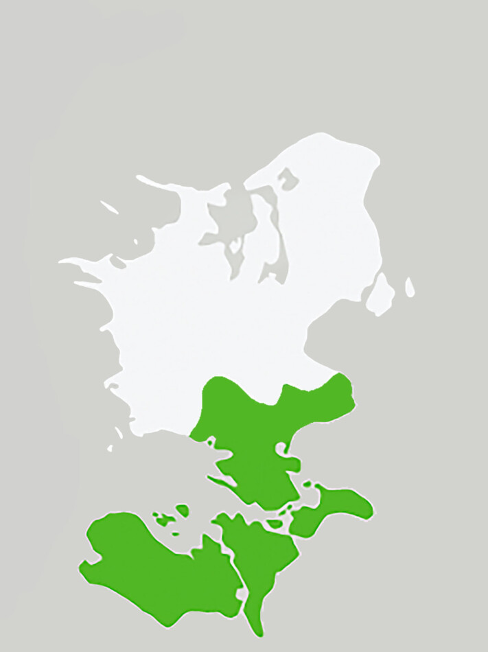 Storstrøms stift ny.jpg