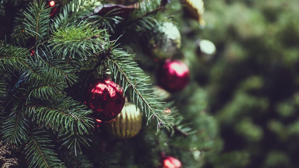 christmas-tree-lights-ball-wallpaper-preview.jpg