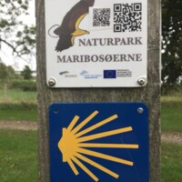 Pilgrimsvandring