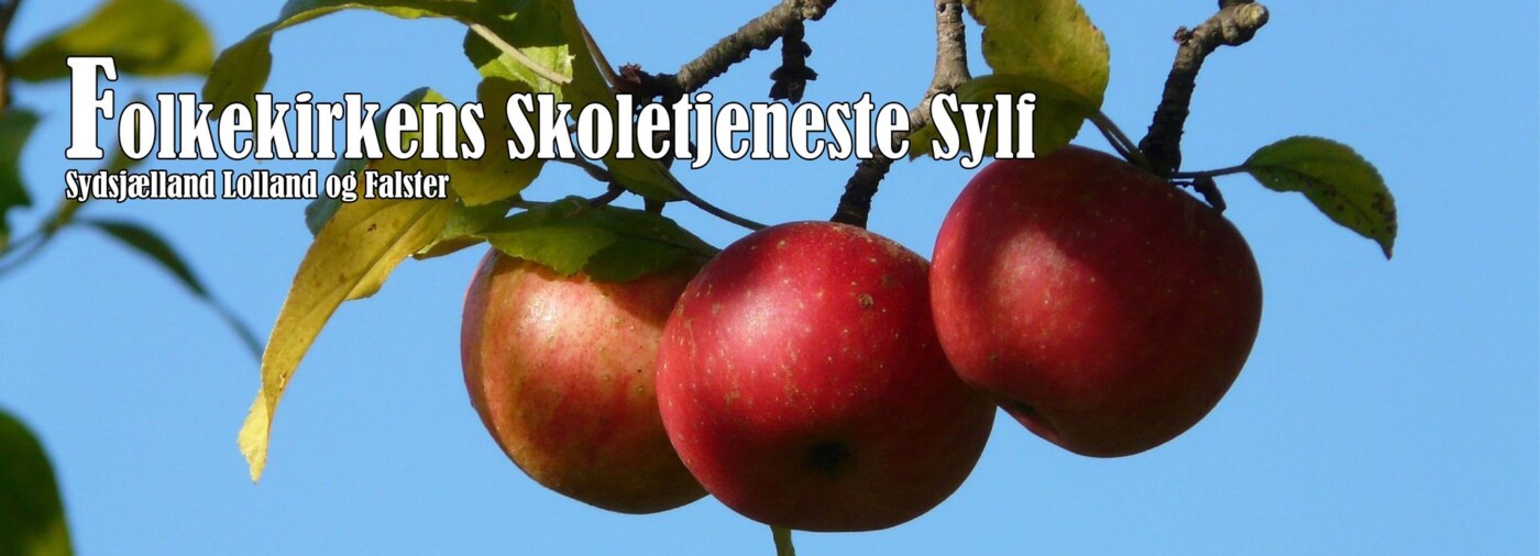 SYLF-topimage.jpg