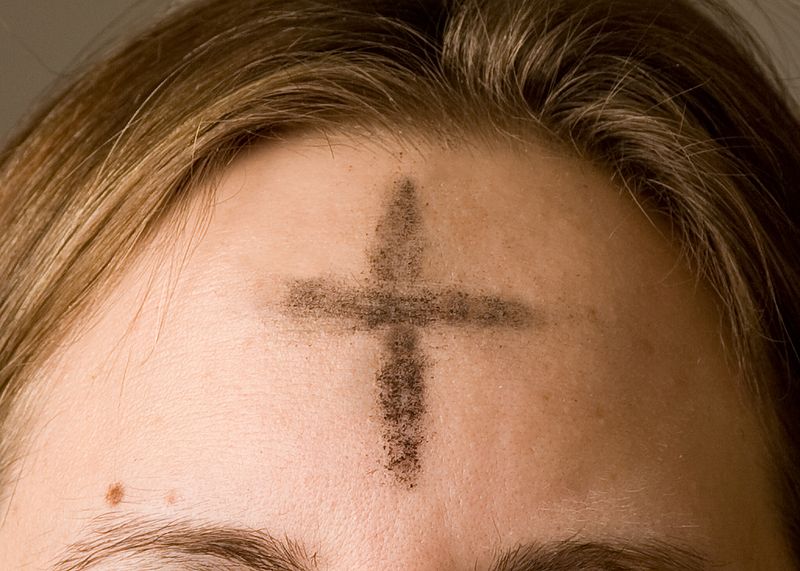800px-Crossofashes.jpg