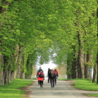 Pilgrimsvandring